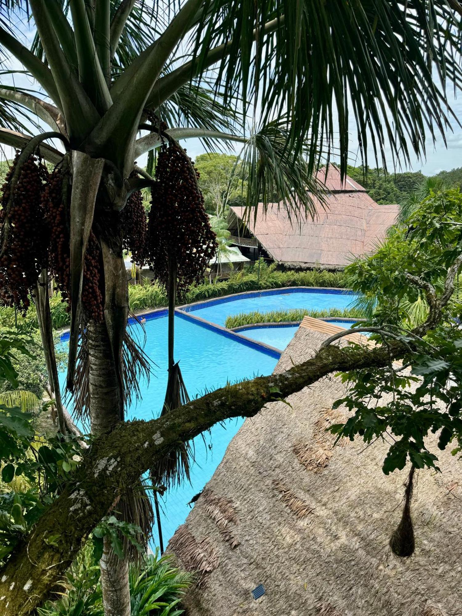 Biohotel Arara River レティシア エクステリア 写真